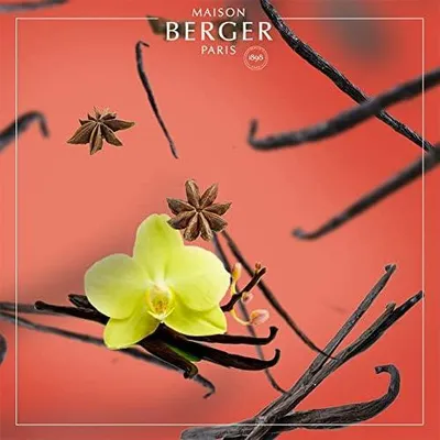 Immagine prodotto di LAMPE BERGER – Ricarica Bouquet Profumato Vanille Gourmet 200 ml