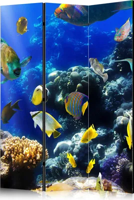 Productafbeelding van Drieluik, enkelzijdig, vliesbehang roomdivider - Onderwateravontuur, 135x172 cm, dieren, modelnummer g-C-0167-z-b