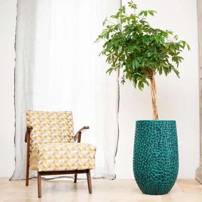 A potted plant and a chair are placed next to a sheer curtain.