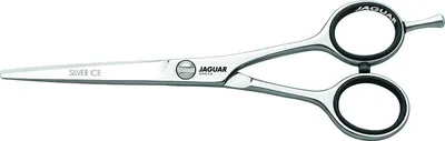 Zdjęcie produktu dla Klasyczne nożyczki fryzjerskie Jaguar White Line Silver Ice o długości 5,5 cala - srebrne