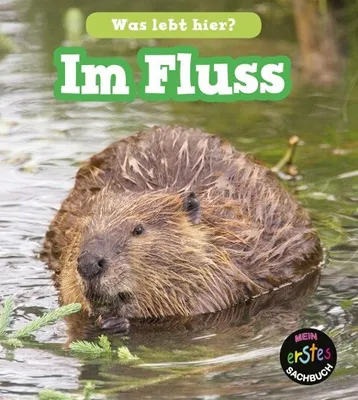 Produktbild von Im Fluss