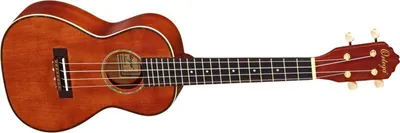 Produktbild von Ortega Root Series RU11 concert ukulele with gig bag
