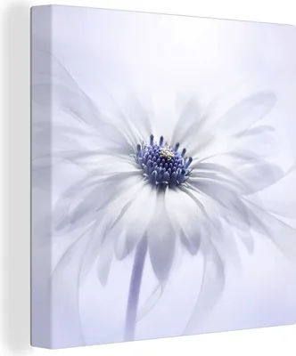 Produktbild von MuchoWow® - Leinwandbilder - Blume - Abstrakt - Weiß, Wandbild, Wanddeko Bilder Wohnzimmer, 90x90 cm