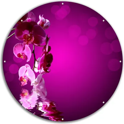 Produktbild von Wallario rundes Outdoor-Poster für Garten oder Balkon, Motiv Rosafarbene Orchidee  Blüten in pink, 60 cm Durchmesser