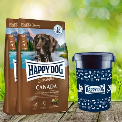 Two bags of dog food and a dog food container are displayed on a wooden surface with a blurred green background.
