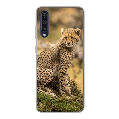 Produktbild von MuchoWow® Handyhülle Schutzhülle Hülle für Samsung Galaxy A30s Leopard - Wald - Tier Silikon Softcase Handy Hülle - Karteninhaber