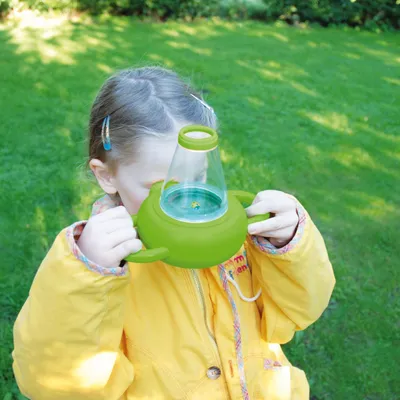 Image de Boîte étude des insectes pour enfants