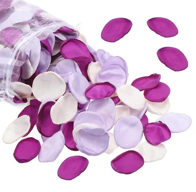 Image de Omgoods - Pétales de roses en soie pour la décoration de mariage