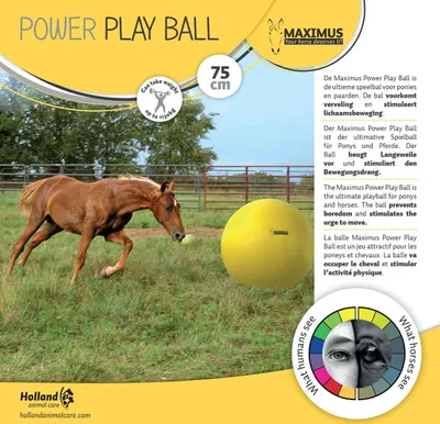 Zdjęcie produktu dla Piłka Maximus Power Play 75 cm