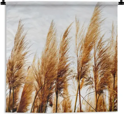 Produktbild von MuchoWow® Wandteppich Wandbehang Pampasgras - Sonne - Gras 150x150 cm Tapisserie Dekoration Wandtuch - Wohnaccessoires - Modernes