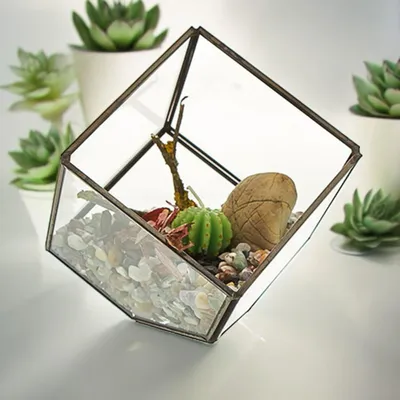 Produktbild von Glasterrarium – Eckiges Modell