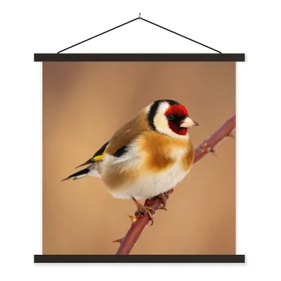 Produktbild von MuchoWow® Textilposter Kropftaube - Vogel - Tiere 90x90 cm mit schwarzem Rahmen - Magnetisches