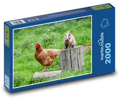 Zdjęcie produktu dla Puzzle 2000 Spotkanie kury i królika - martinpuzzle
