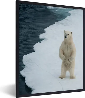 Produktbild von MuchoWow® MuchoWow® Gerahmtes Poster Eis - Eisbär - Winter 30x40 cm - Poster mit zchwarzem Bilderrahmen - Wanddeko - Kunstdrucke