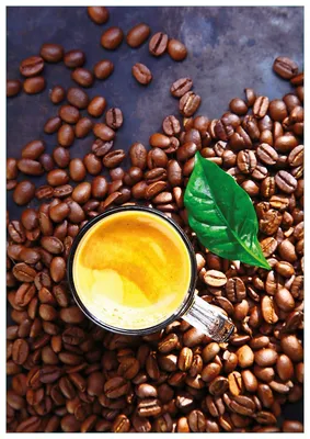 Produktbild von Wallario Premium Glasbild, freischwebende Optik, kräftige Farben, Größe 100 x 70 cm Motiv Kaffee und Bohnen