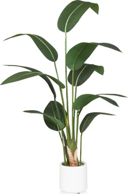 Obrázok produktu pre hjh OFFICE Umelá rastlina STRELITZIA Umelá rastlina banán Výška 150,0 cm Dekorácie