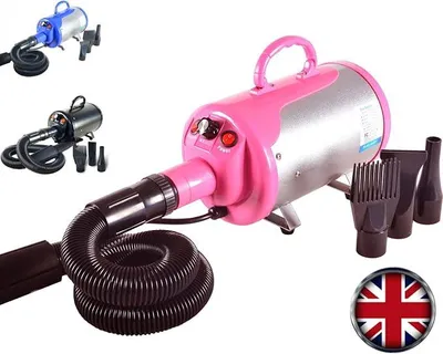 Immagine prodotto di Accessori per animali domestici: Asciugacapelli professionale da 2800 W con tubo – Un potente ma silenzioso asciugacapelli per cani, con velocità regolabile (rosa)