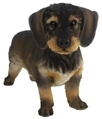 Produktbild von Gartenskulptur Rauhhaardackel - Hund - braun - 29 cm - Polystone