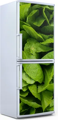 Produktbild von Kühlschrankdekoration  60x180 cm  Aufkleber auf dem Kühlschrank - Gemüse Farbige