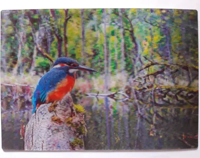 Produktbild von 3 D Ansichtskarte Eisvogel, Postkarte Wackelkarte Hologrammkarte, Tier Vogel Vögel