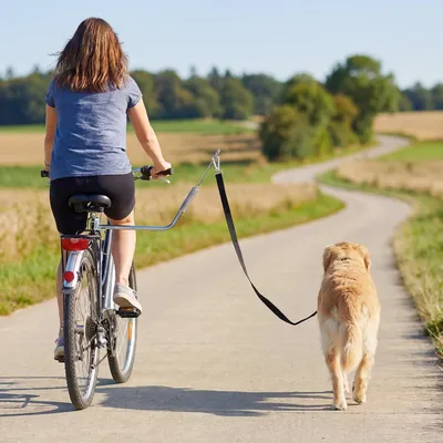 Produktbild von Fahrradleine Hund mit Stoßdämpfer, Hundeleinen Fahrrad, Edelstahl Nylon, Silber | 180 cm | verstellbar | Schnellverschluss