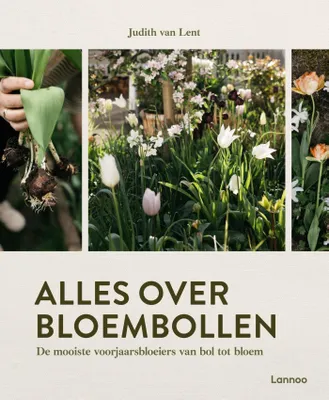 Image de Livre sur les fleurs printanières : tout sur les bulbes fleuris