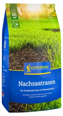 Artikelbild 2 von 'Kiepenkerl Nachsaatrasen (2 Kg)' aus der Kategorie Rasennachsaat