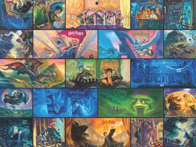 Immagine prodotto di New York Puzzle Company - Puzzle collage di Harry Potter, 1000 pezzi
