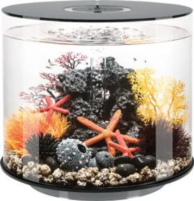 Produktbild von biOrb TUBE 35 LED schwarz (92400)