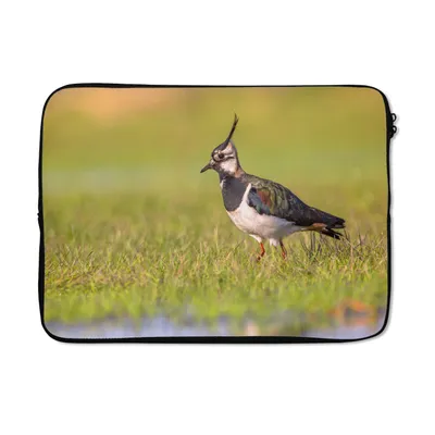 Produktbild von MuchoWow® Laptop Hülle 14 ZollVogel - Gras - Natur - Tiere - Kiebitz Laptoptasche - Laptoptasche - Stoßsicher - Schutzhaube