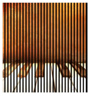 Produktbild von Akustikpaneele mit Digitaldruck Jazz02 19 x 1133 x 1195 mm Klavier Tasten Musik MDF PET-Fasern Wandpaneele Braun Weiß 2 Einzelplatten