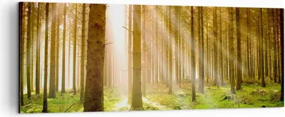 Produktbild von Bild auf Leinwand - Leinwandbild - Bäume Sonne Natur - 140x50cm - Wand Bild - Wanddeko - Wandbilder - Leinwanddruck - Bilder - Kunstdruck - Wanddekoration - Leinwand bilder - Wandkunst - AB140x50-0156