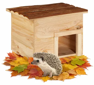 Immagine prodotto di Casa per ricci Relaxdays per il giardino, alloggio e riparo invernale, hotel per ricci in legno d'abete, HBT: 22,5 x 32 x 27 cm, naturale