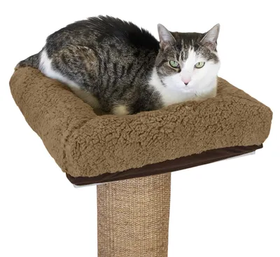 Productafbeelding van Zachte Zitkussen voor Kitty City Krabpaal