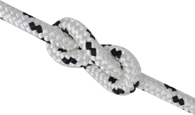 Produktbild von vidaXL Geflochtenes Tauwerk Bootsleine Polyester 10 mm x 50 m