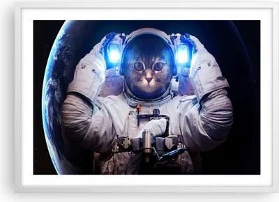 Produktbild von Gerahmtes Poster - Weißer Rahmen - Kosmonaut Katze - 70x50 cm - Wand Bild - Wanddeko - Wandbilder - Kunstposter - Wandposter - Bilderrahmen - Bilder - Kunstdruck - Wandbild - P2WAA70x50-3734