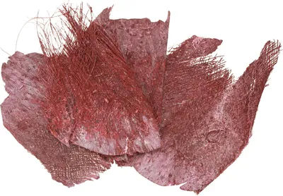 Produktbild von Palmfasern Bastelmaterial für kreative Dekoideen und Heimprojekte