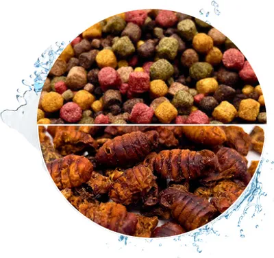 Produktbild von WTS Koifutter 10-Sorten Mix mit Spirulina & Paprika - 15 Liter + 1 Liter Seidenraupen 3 - 6 mm