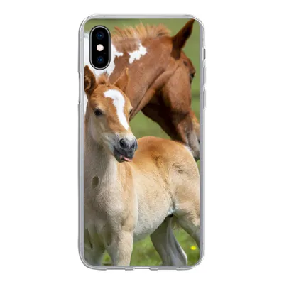 Produktbild von MuchoWow® Handyhülle Schutzhülle Hülle für iPhone Xs Pferde - Fohlen - Gras Silikon Softcase Handy Hülle - Handytasche