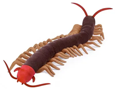 Imagen del producto de Centopod Peluche 68 cm