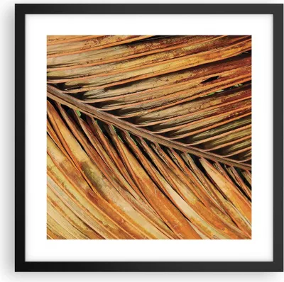 Produktbild von Gerahmtes Poster - Schwarzer Rahmen - Orange Blatt Tropisch - 40x40 cm - Wand Bild - Wanddeko - Wandbilder - Kunstposter - Wandposter - Bilderrahmen - Bilder - Kunstdruck - P2BAC40x40-4876