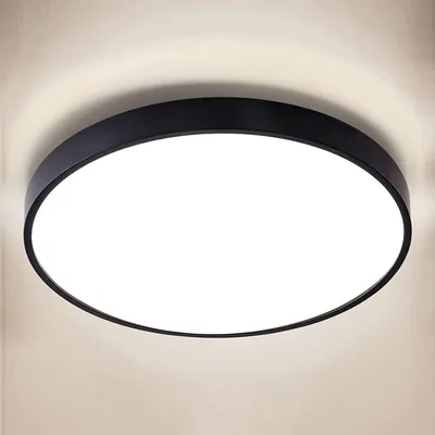LED-Deckenleuchte 24W 2400LM Ø28cm IP65 schwarz 4000K flimmerfrei