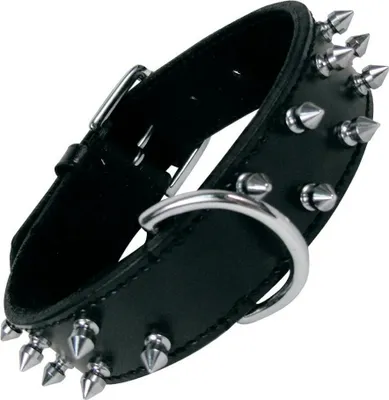 Image de Collier de chien Gloria noir à pointes (65 cm)