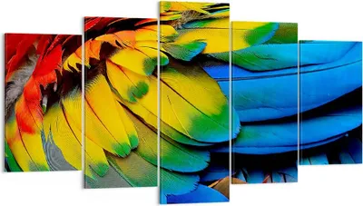 Produktbild von Bild auf Leinwand - Leinwandbild - Feder Papagei Vogel - 160x85cm - Wand Bild - Wanddeko - Leinwanddruck - Bilder - Kunstdruck - Wanddekoration - Leinwand bilder - Wandkunst - EA160x85-3428