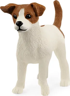 Produktbild von Schleich 13916 Jack Russell Terrier