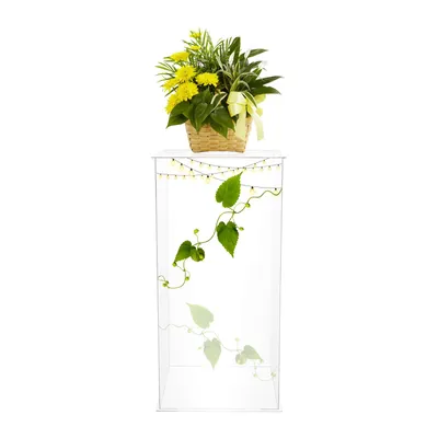 Image de Présentoir en acrylique, vitrine en acrylique, boîte de présentation en acrylique pour figurines et objets de collection