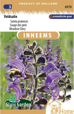 Produktbild von Ackersalbei Samen - aromatischer Wiesensalbei für artenreiche Gärten, attraktiv für Bienen und Schmetterlinge, pflegeleicht, lange Blüte