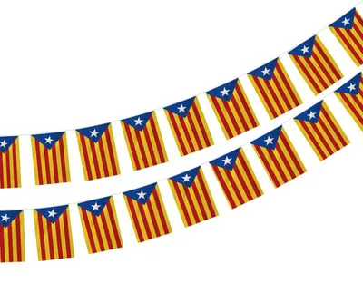Catalonische Flaggenkette, 40 Stück, 11,4 m, 14 x 21 cm