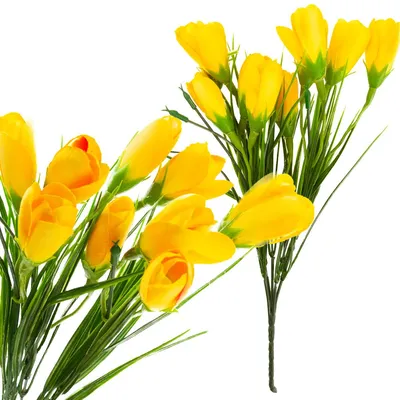 Image de Crocus Bouquet artificiel de crocus 10 crocus dans l'herbe Composition Printemps Jaune
