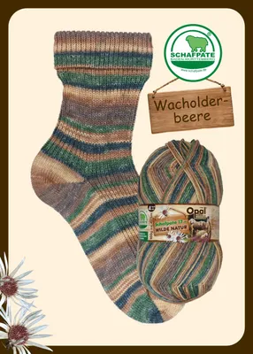 Produktbild von Opal Sockenwolle Schafpate 17 Wilde Natur 4-fädig 100g/425m LL 75% Schurwolle/25% Polyamid NS 2-3 11596 Wacholderbeere